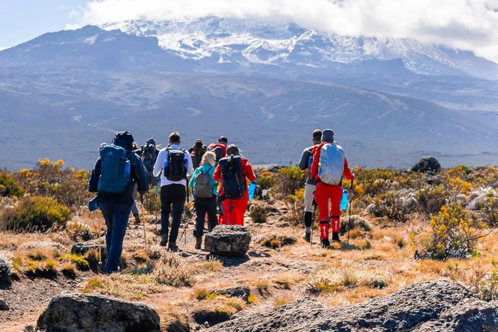 Rongai Climbing Kilimanjaro Rongai Climbing Kilimanjaro