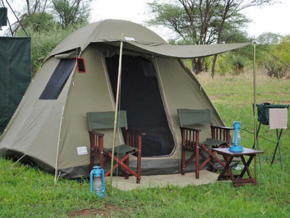 camping-safari camping-safari