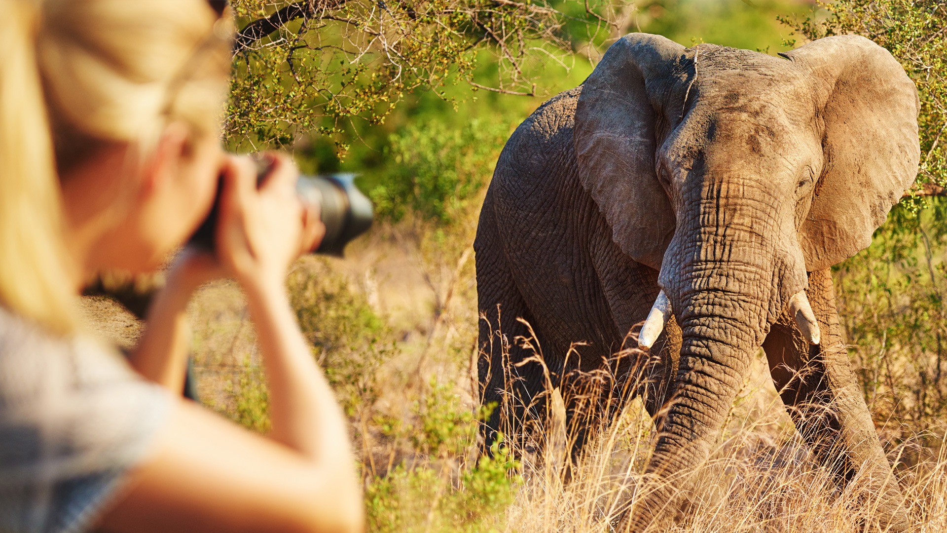 Read more about the article 8 Days Wildlife Photographic Safari